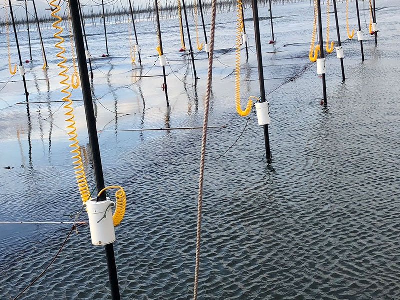 省力化・働き方の見直し